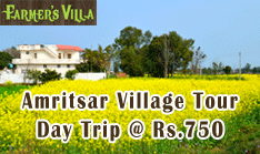 Punjab Farm Tour/Day Trip. Reconnect with your roots, experience the tranquility of countryside and farm life, and walk along the sprawling acres of carefully nurtured crops.